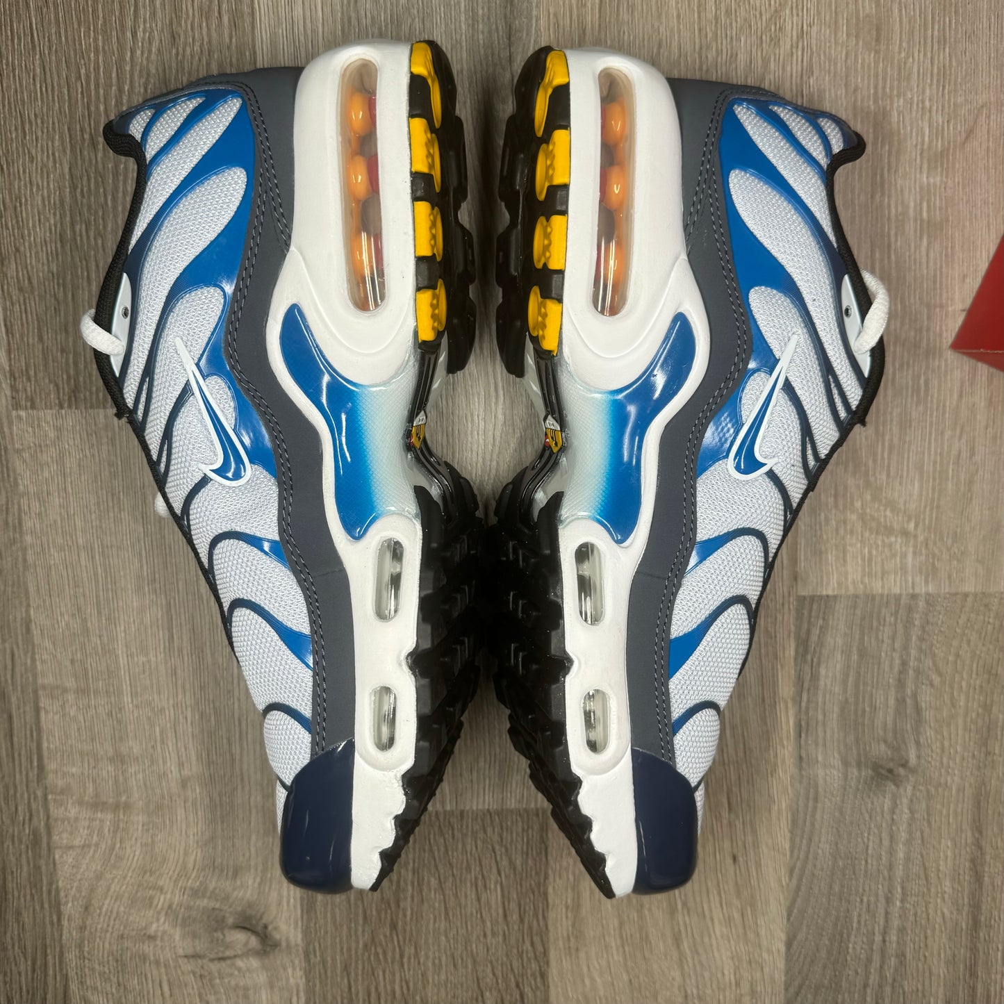 Nike Air Max Plus Thunder Blue (Junior)