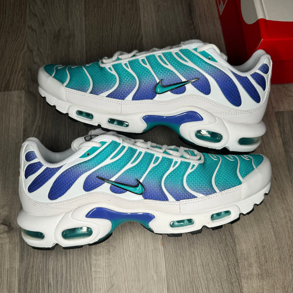 Nike Air Max Plus White Blue Violet