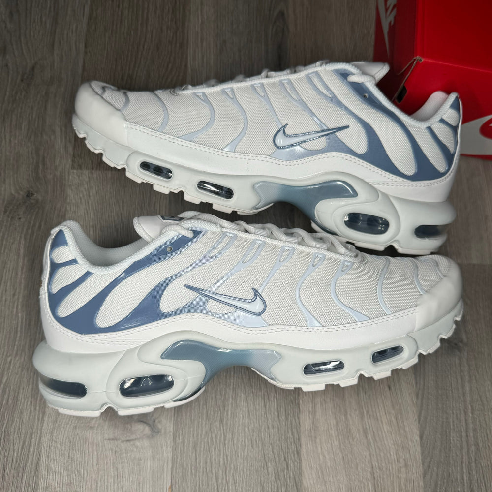 Nike Air Max Plus Ashen Slate